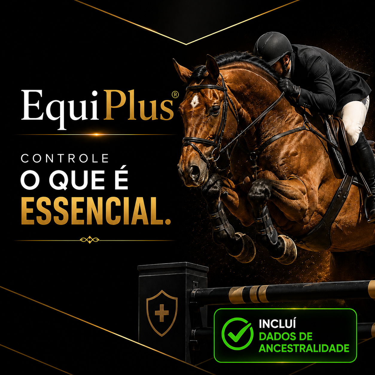 EquiPlus