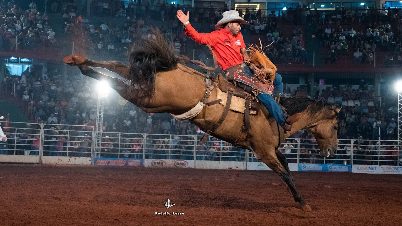 BUCKING HORSES em ação no rodeio