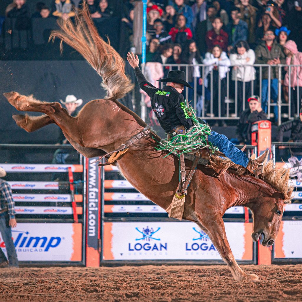 Cavalos de rodeio no GenScience Bucking Horses