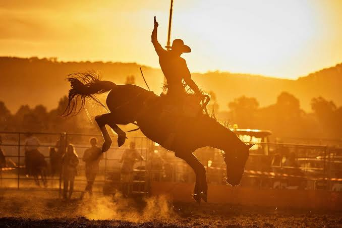 BUCKING HORSES no rodeio