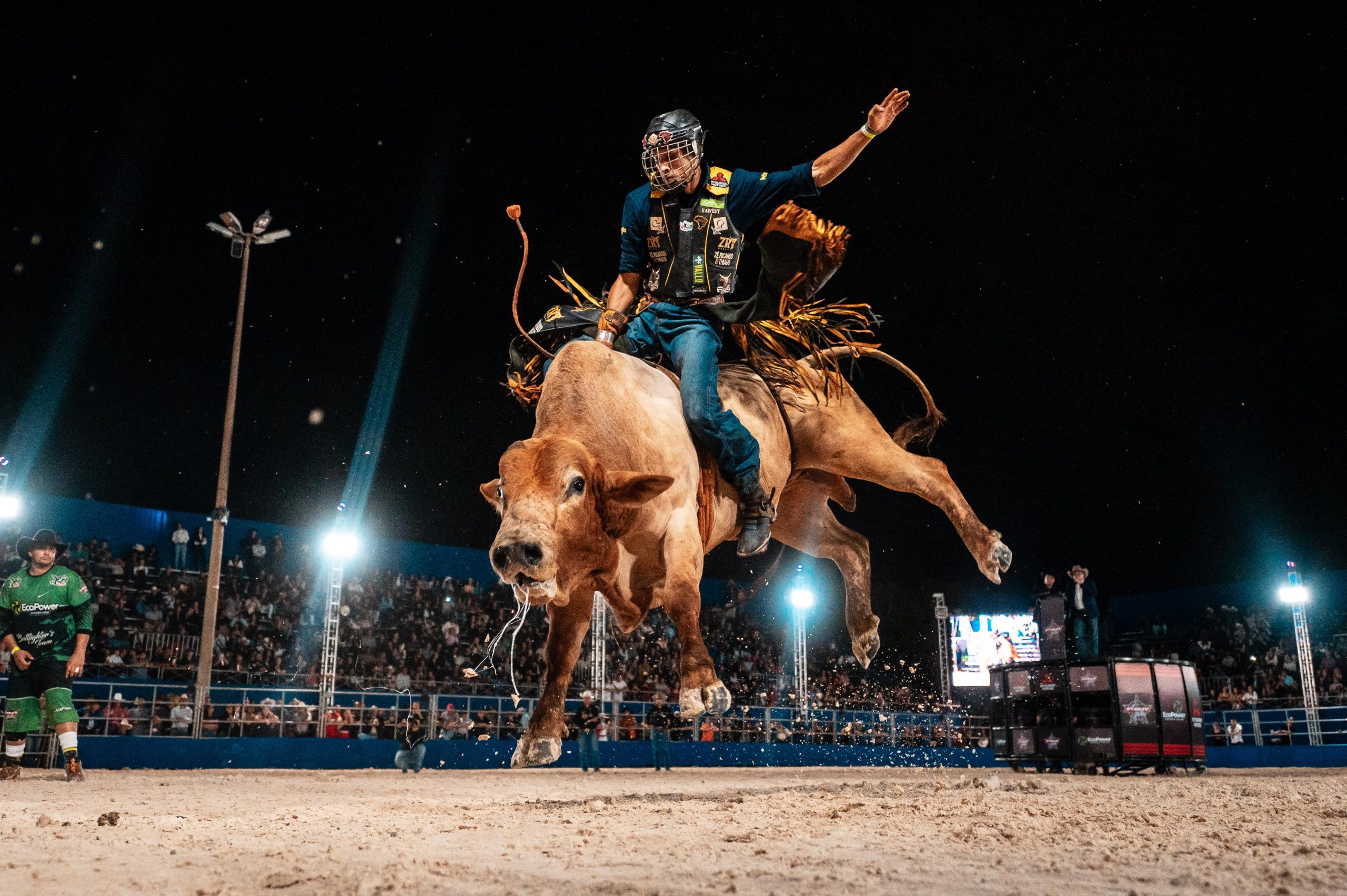 BUCKING BULLS em ação no rodeio