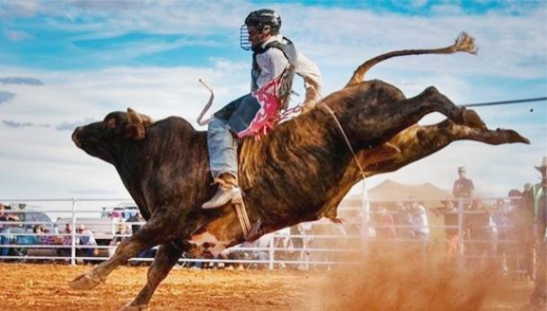 BUCKING BULLS em ação