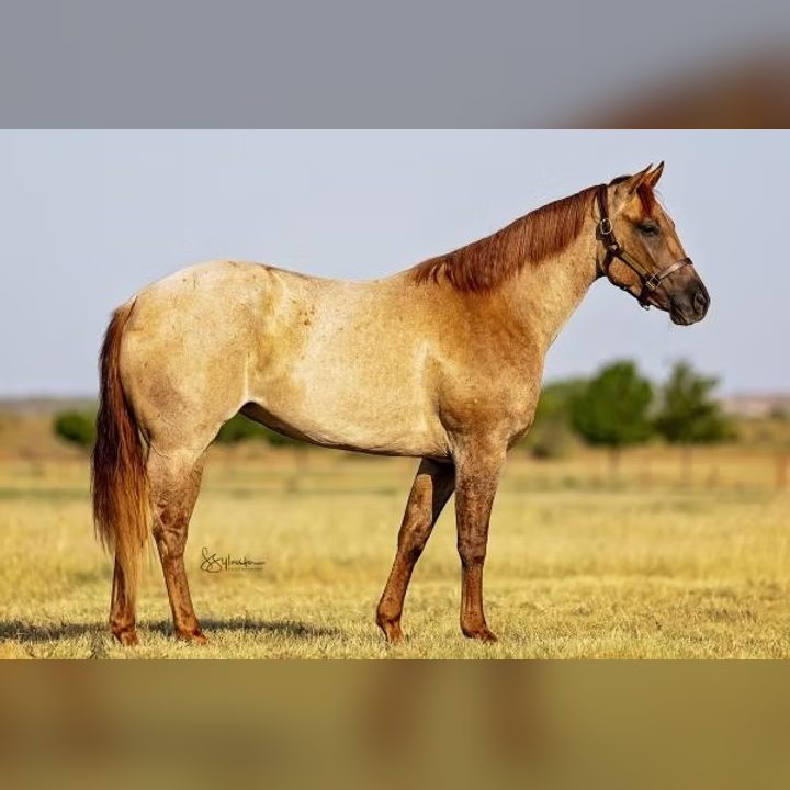 RIOS PEPCID